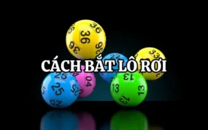 Cách Bắt Lô Rơi - Chiến Thuật Giúp Tăng Tỷ Lệ Trúng Đề 6 cach bat lo roi 1
