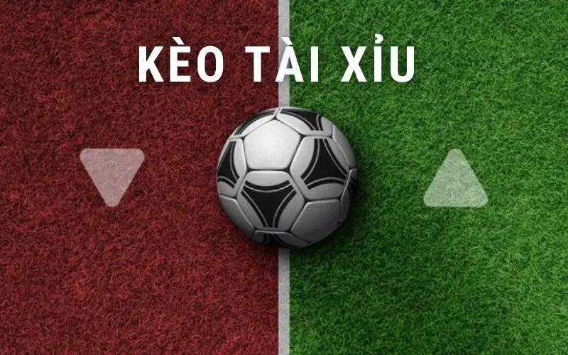 Tất Tần Tật Về Kèo Tài Xỉu: Mách Bạn Cách Chơi Hiệu Quả 1 keo tai xiu 1